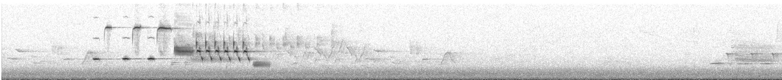 Song Sparrow - ML101114071