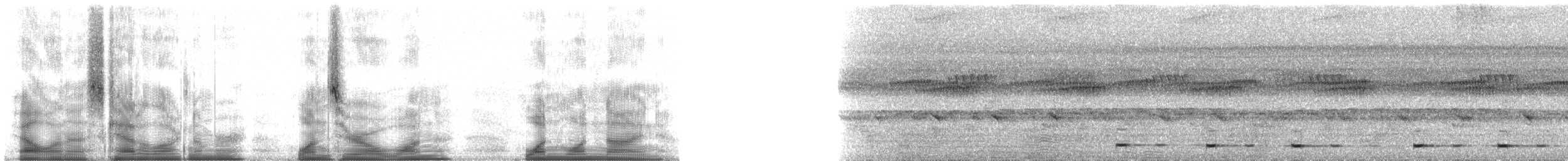 Goldbürzel-Bartvogel - ML101119