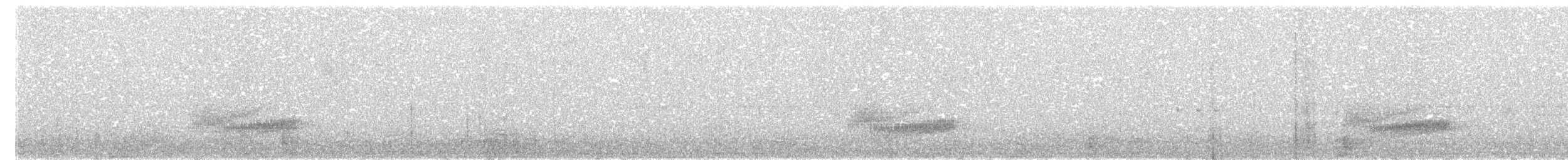 Дрізд-короткодзьоб сірий - ML101136431