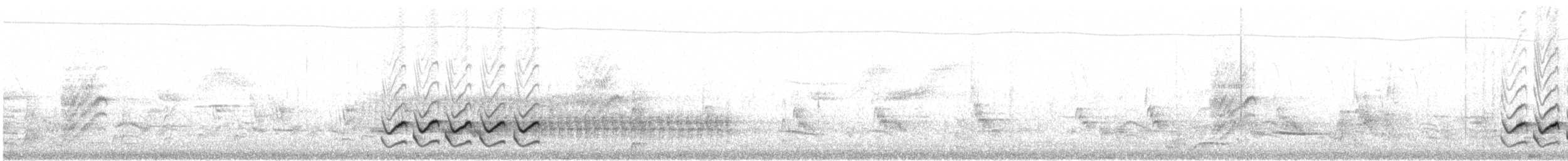 Weißbrustkleiber (aculeata/alexandrae) - ML101152711