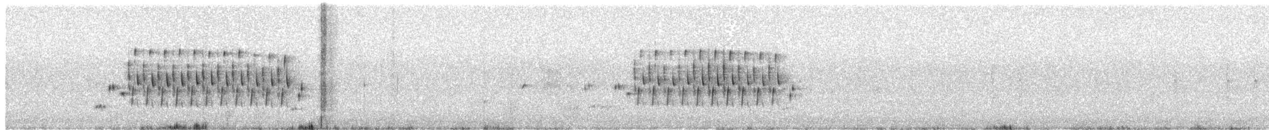 Cucarachero Pantanero (griseus) - ML101161941