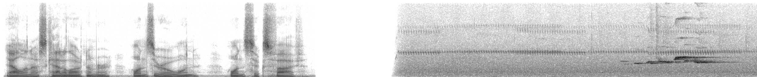 Горный пестрозоб - ML101165