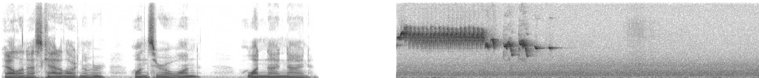 malawisolfugl - ML101199