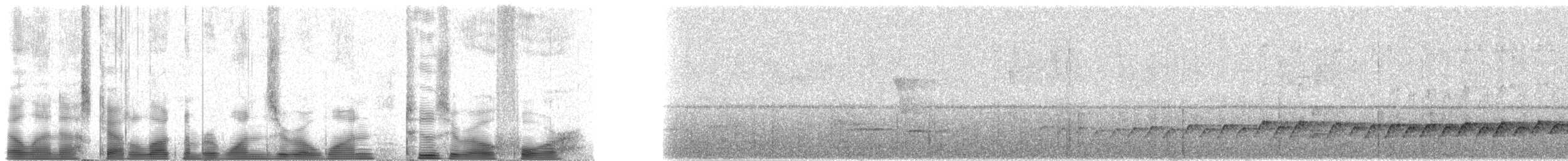 クロカマハシフウチョウ - ML101204