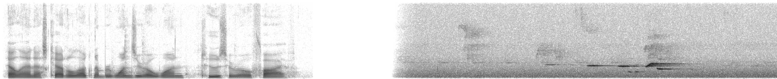 チャイロコウライウグイス - ML101205