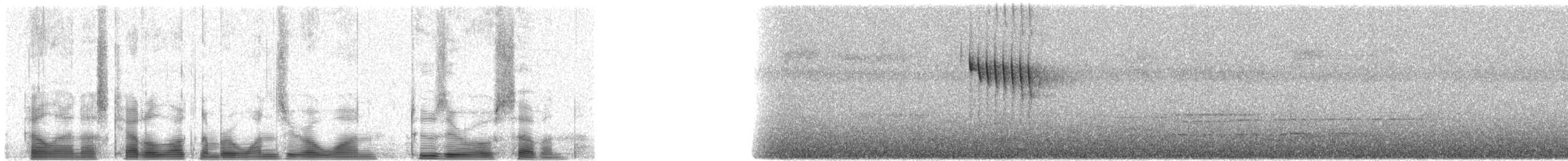 ヤマセジロヒタキ - ML101207