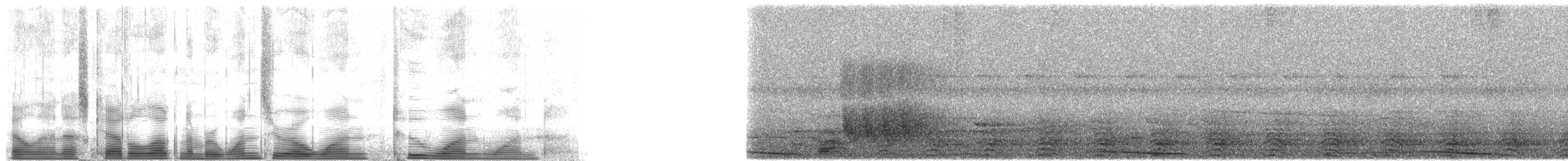 パプアシワコブサイチョウ - ML101211