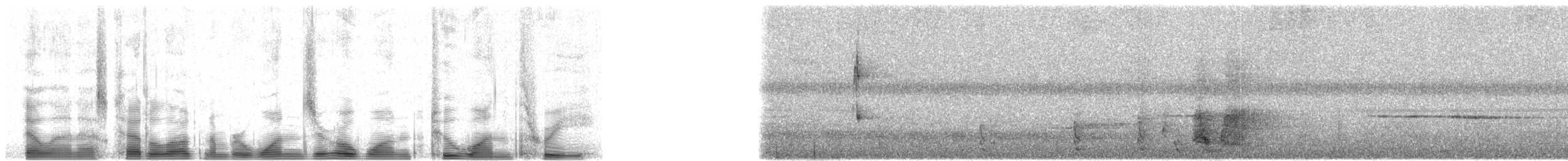 キイロカササギビタキ - ML101213