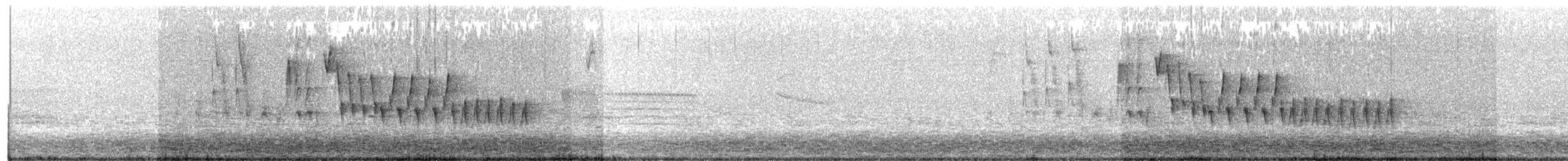 Northern House Wren - ML101244251