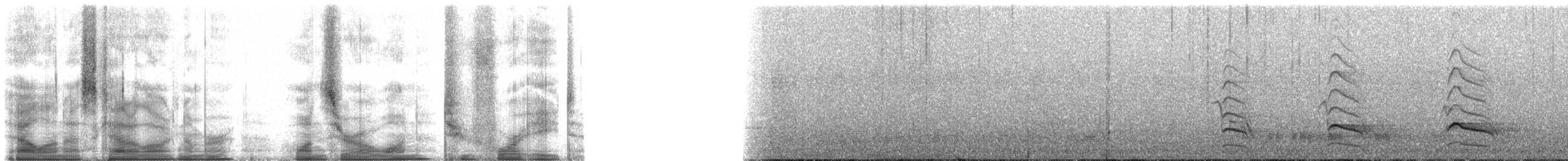 Канюк плямистогрудий - ML101248