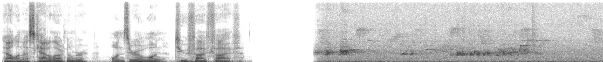 Горный пестрозоб - ML101255