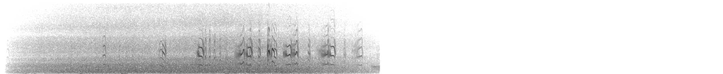 Petite Sterne - ML101258751