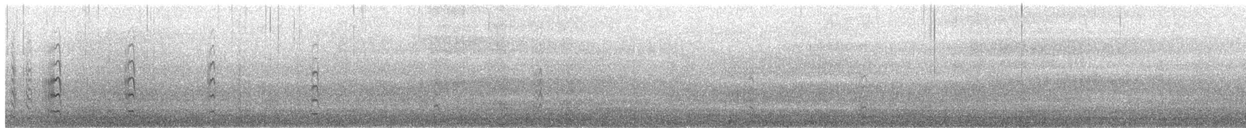 Petite Sterne - ML101258831