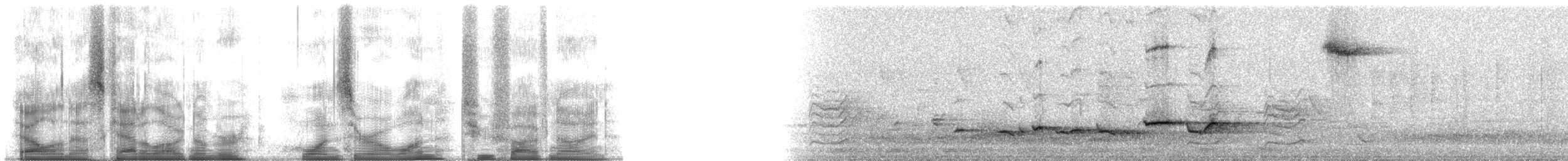 Горный пестрозоб - ML101259