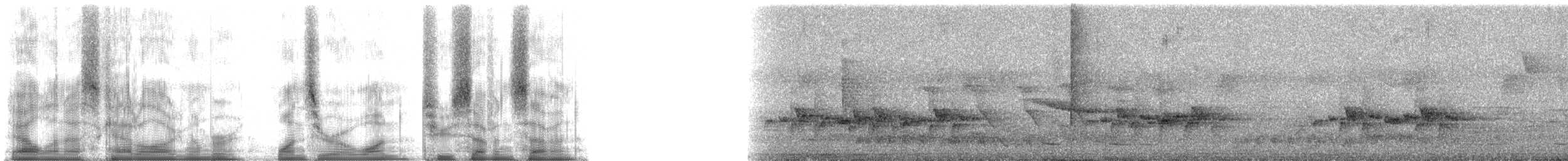 Горный пестрозоб - ML101277