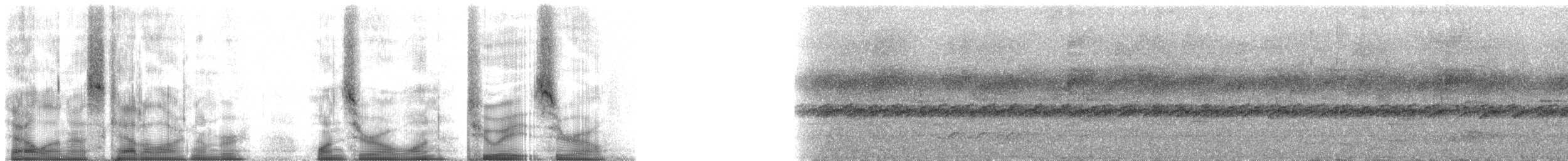 Горный пестрозоб - ML101280