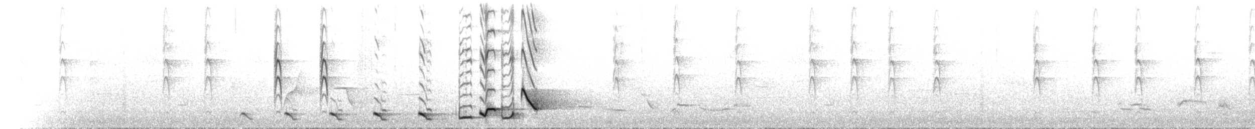 Серогрудый питуи - ML101312081