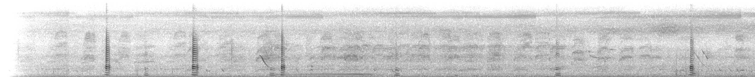 husovec strakatý - ML101314281