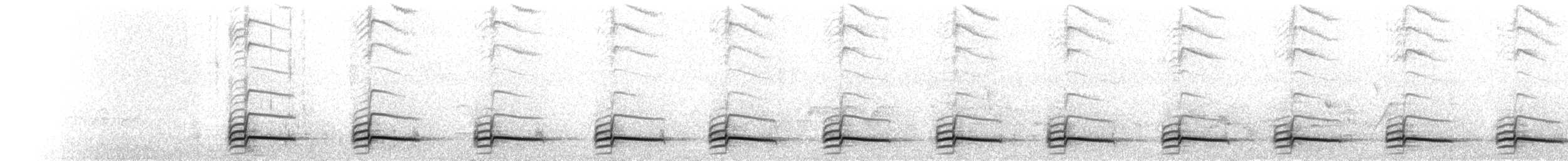 Pomatostome à calotte grise - ML101314941