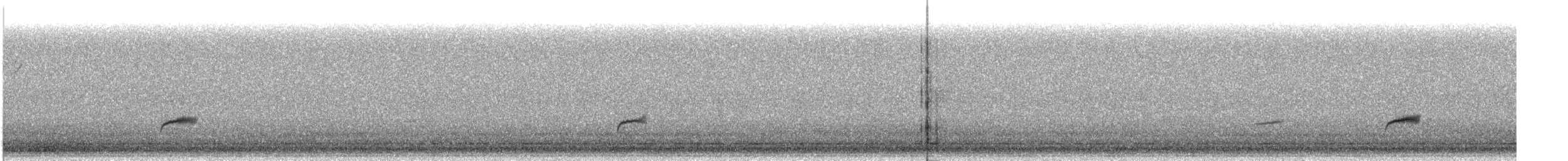Дрізд-короткодзьоб Cвенсона - ML101322861
