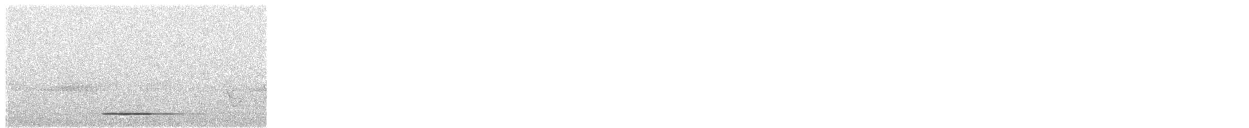 Thicket Tinamou - ML101331241