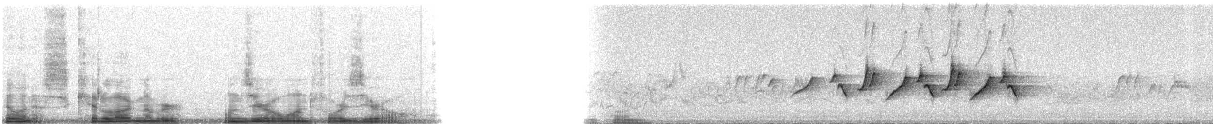 Жовтогорлик багамський - ML10140