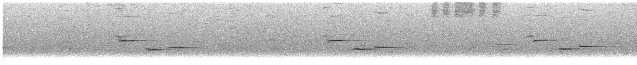 Дрізд-короткодзьоб сірий - ML101421931