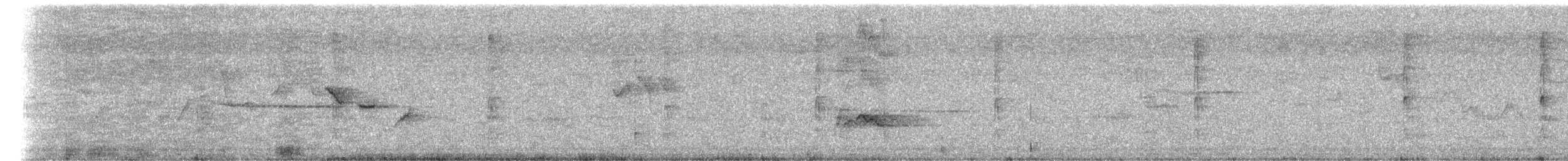 Échenilleur de Java (javensis) - ML101468141