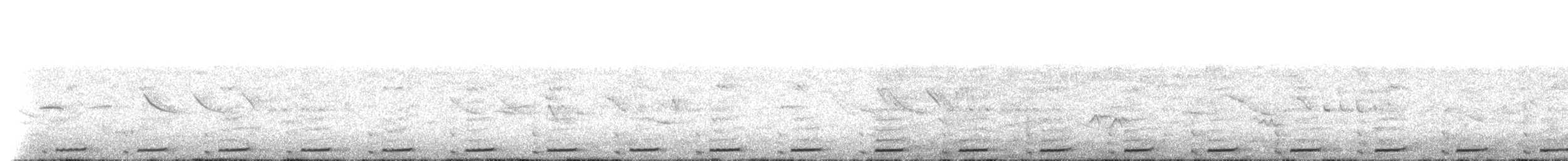 Серогрудый зобатый бегунок - ML101483741
