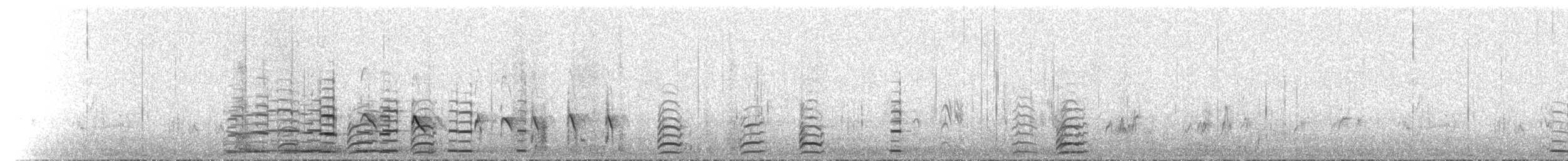 Rotkopf-Säbelschnäbler - ML101486001