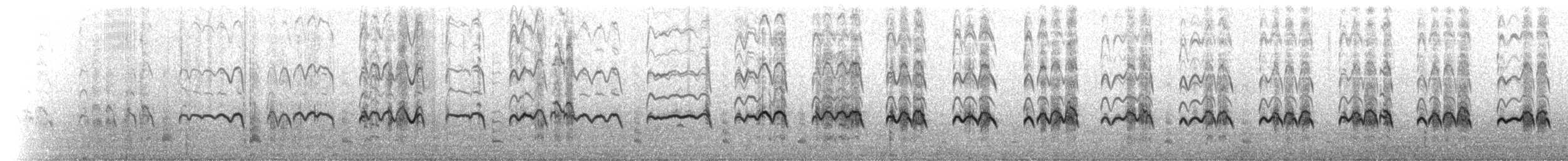 コビトペンギン - ML101489551