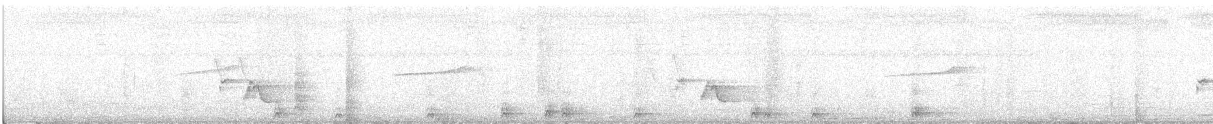 Grauhornvogel - ML101502161