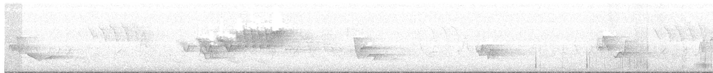 Cerulean Warbler - ML101509211