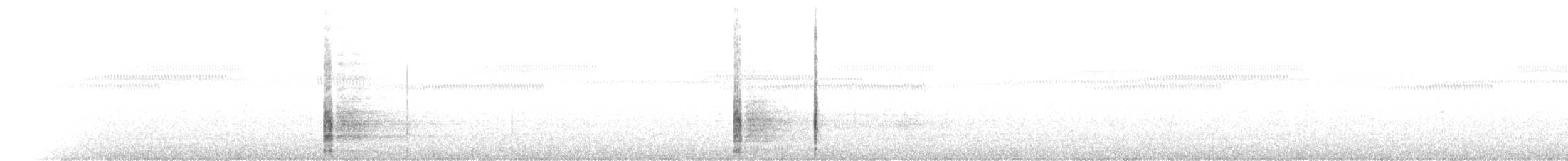 tasmansivhøne - ML101516661