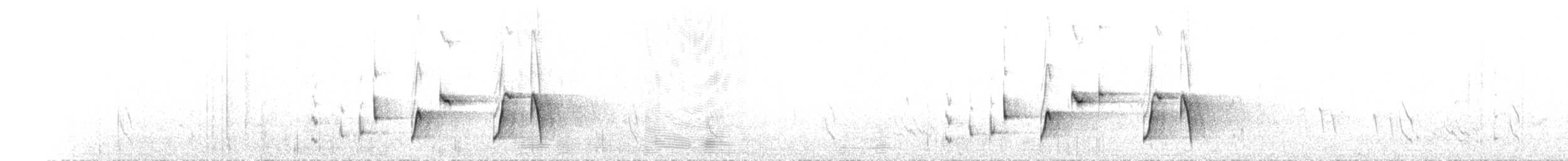 Чёрно-белая веерохвостка - ML101519111