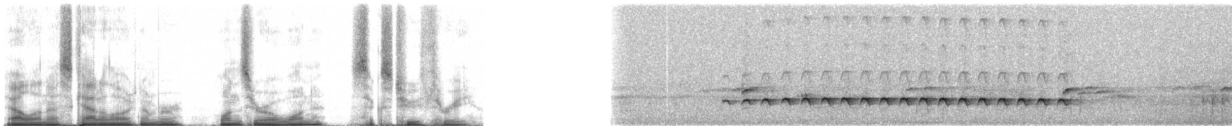 Western Fire-eye (maura Group) - ML101623