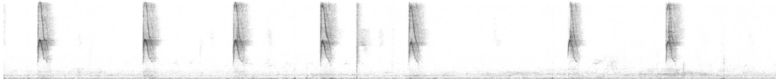 Weißbauch-Dickichtschlüpfer - ML101638161