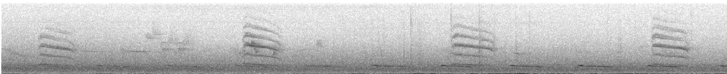 Heulbartvogel - ML101640751