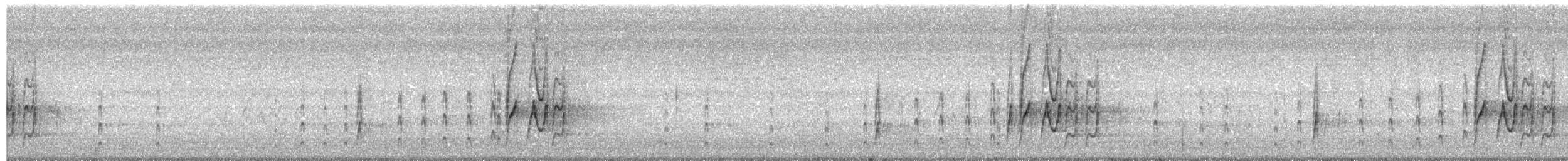 Western Kingbird - ML101664691