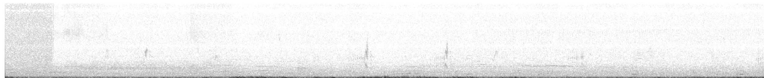 Ak Gerdanlı Sinekkapan - ML101678401