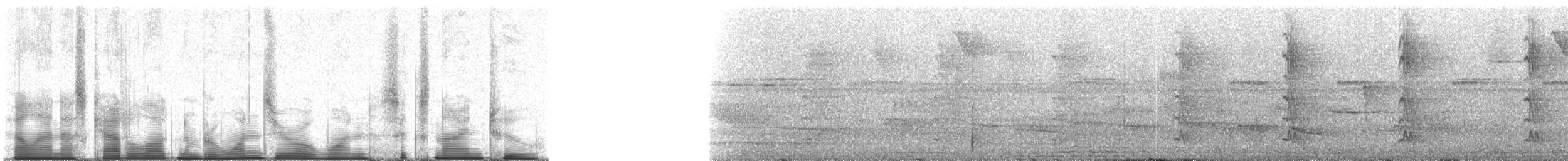 McConnell's Flycatcher (Inambari) - ML101692
