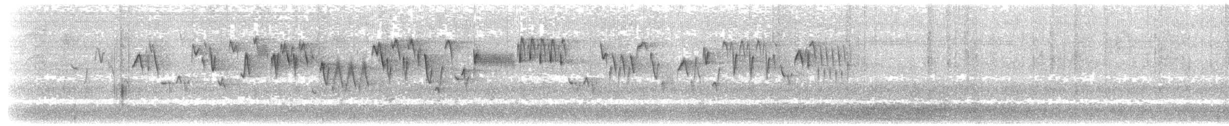 Troglodyte de Baird - ML101706511