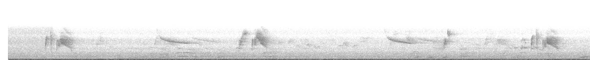 tyranovec vrbový - ML101721681
