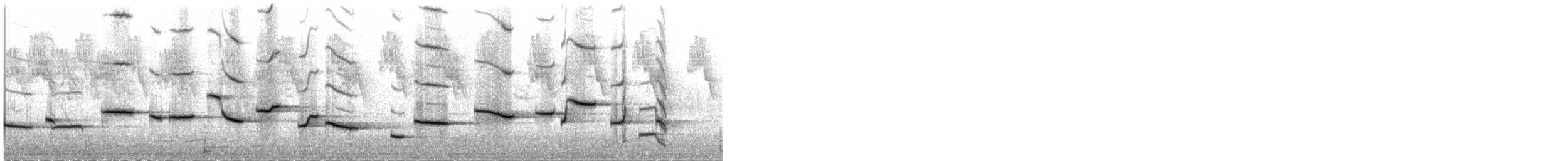 白斑紫嘯鶇 - ML101725731