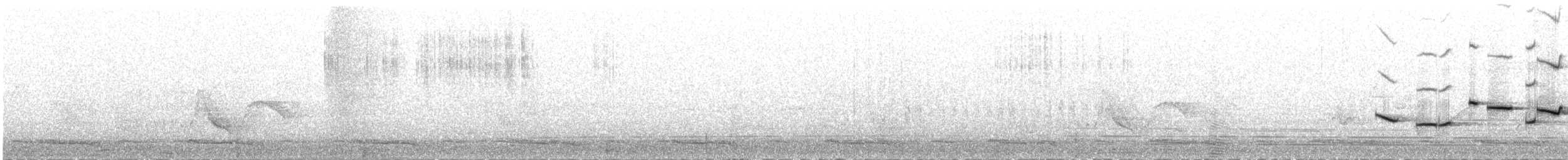 白斑紫嘯鶇 - ML101725841