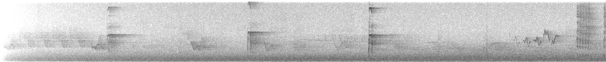 indianerspett (villosus gr.) - ML101751351