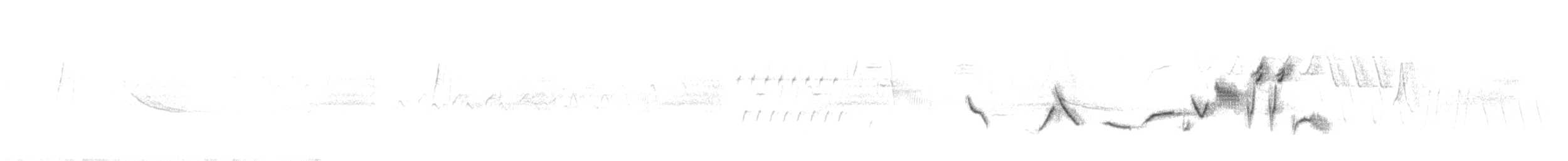 Tilki Renkli Serçe [schistacea grubu] - ML101803831