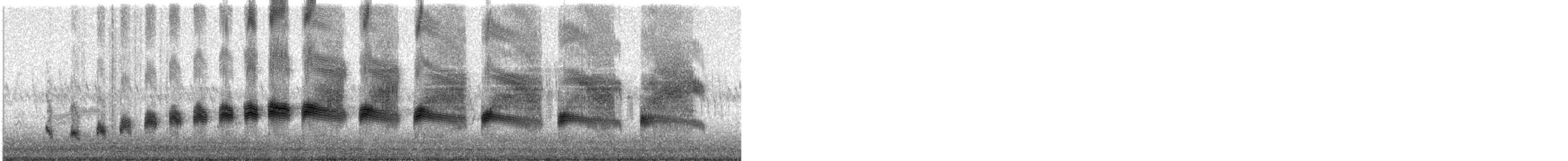 Canyon Wren - ML101806451