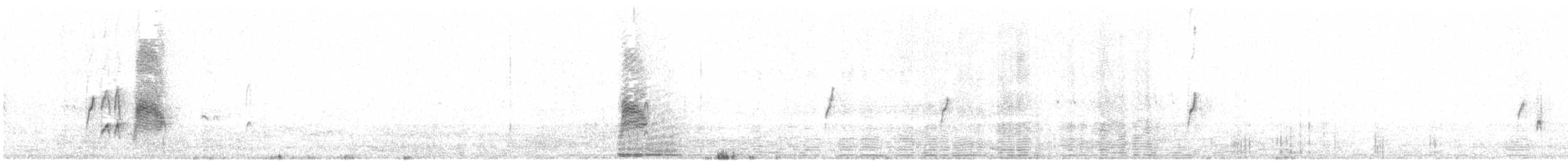Falkennachtschwalbe - ML101852891