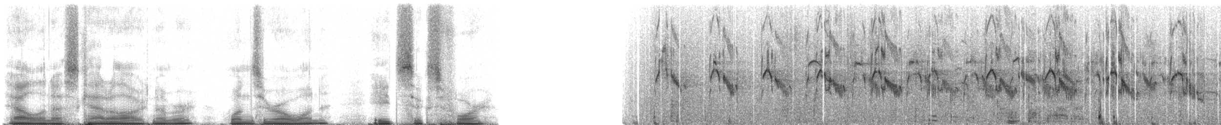 rorýs bělokrký - ML101864